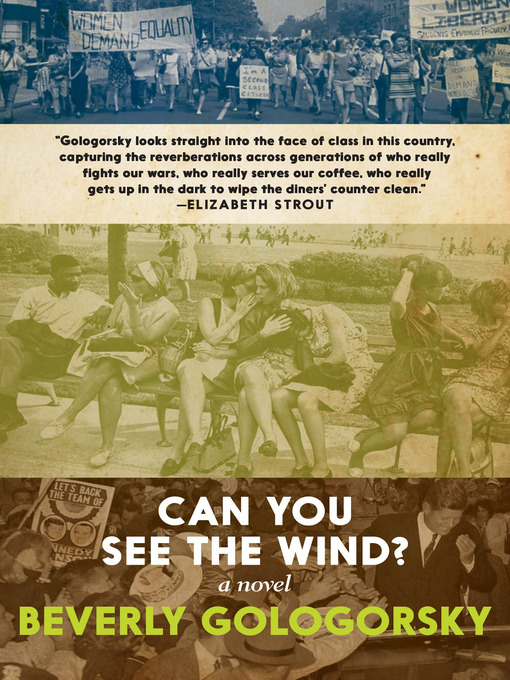 Title details for Can You See the Wind? by Beverly Gologorsky - Available